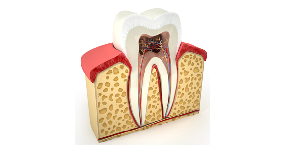 endodontie traitement de canal